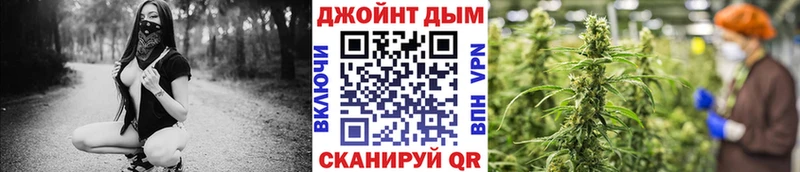 Бошки марихуана сатива  продажа наркотиков  Малмыж 